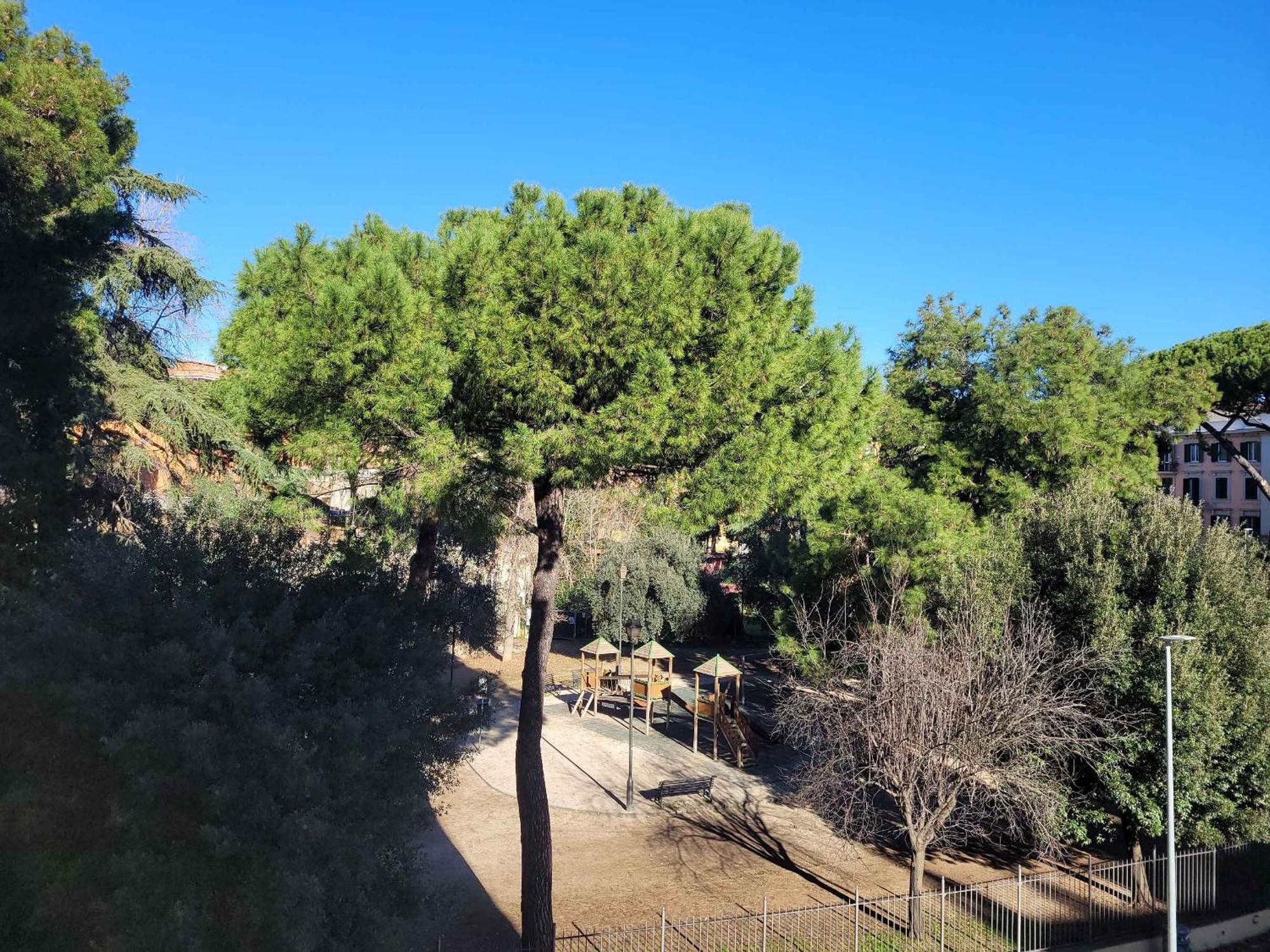 In The Garden — Photos 1